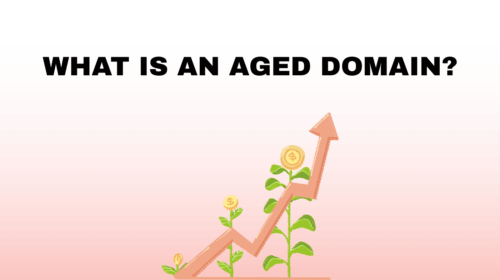 What is an aged domain