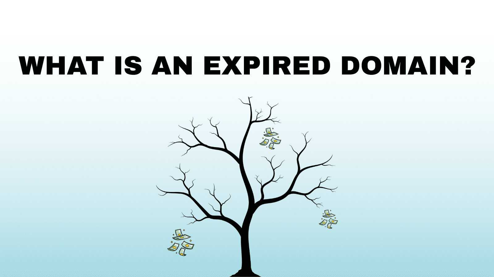 What is an expired domain