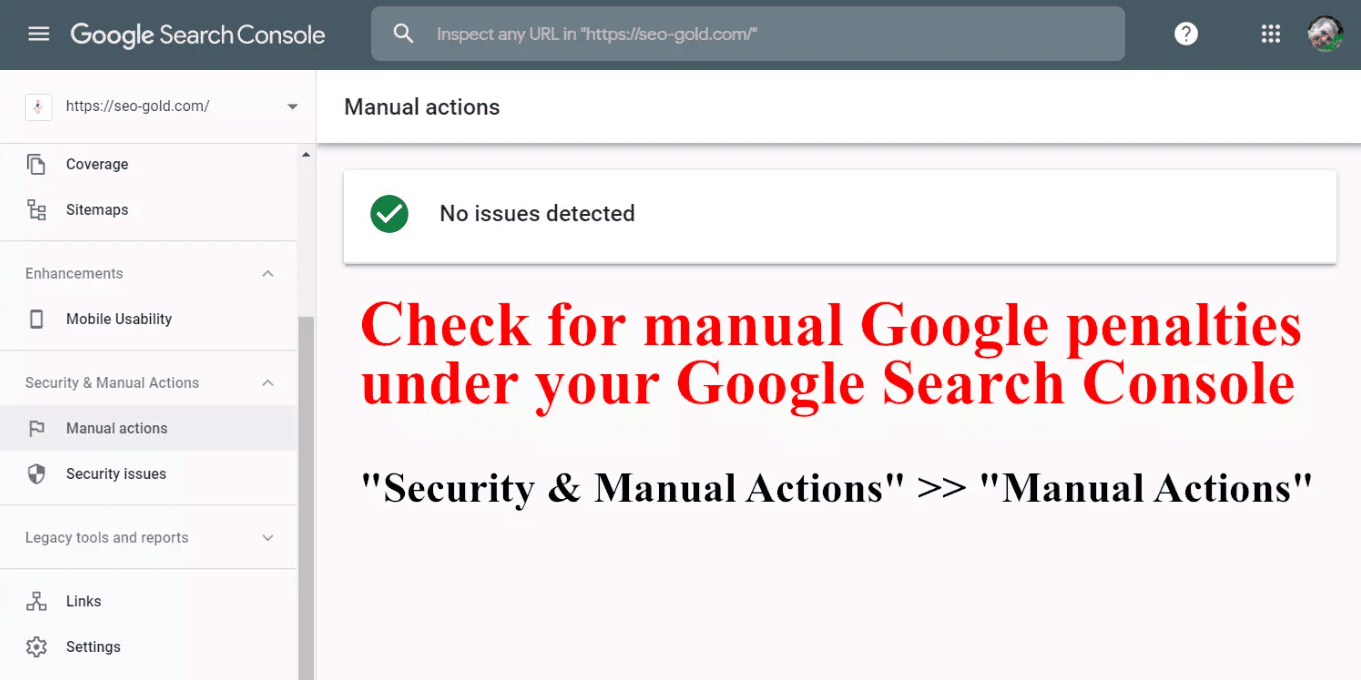 Check manual Google penalties under your Google Search Console