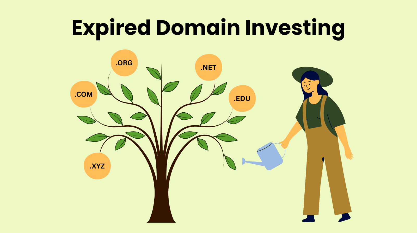Expired Domain Investing