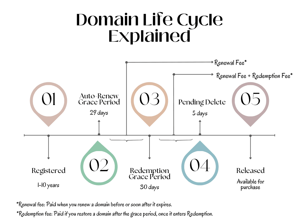 Domain Life Cycle Explained