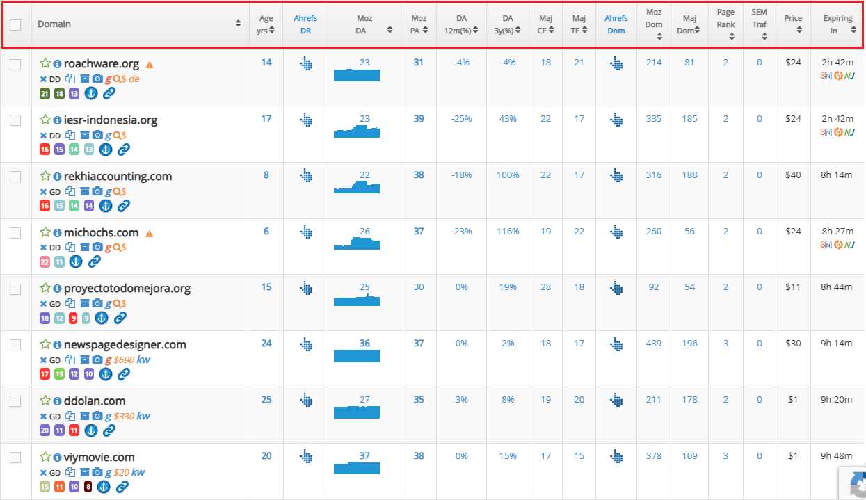Domain results list displayed after applying basic DomCop filters