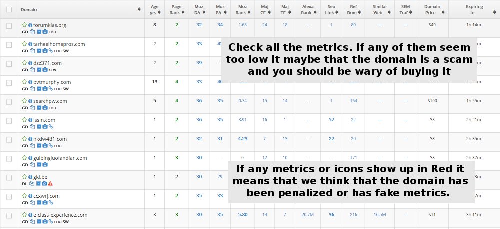 Review Expired Domains Search Results